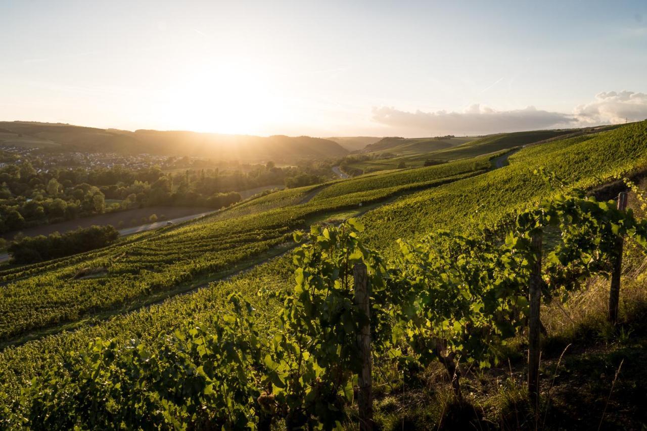 Hotel Weingut Und Gastehaus Holger Alt Monzingen Zewnętrze zdjęcie