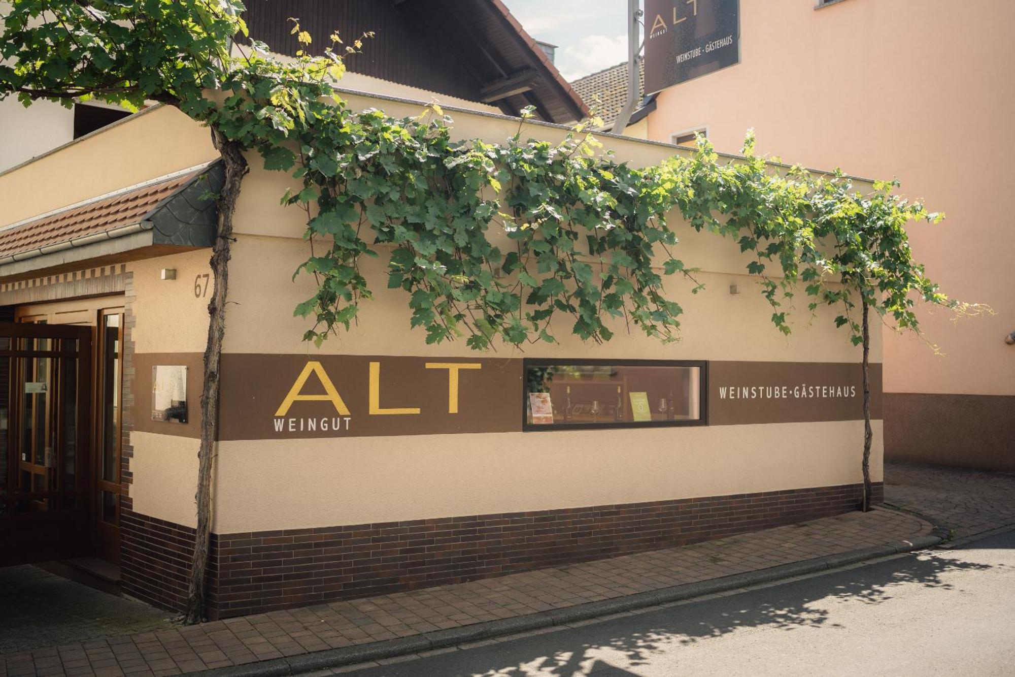 Weingut Und Gaestehaus Holger Alt Monzingen Zewnętrze zdjęcie