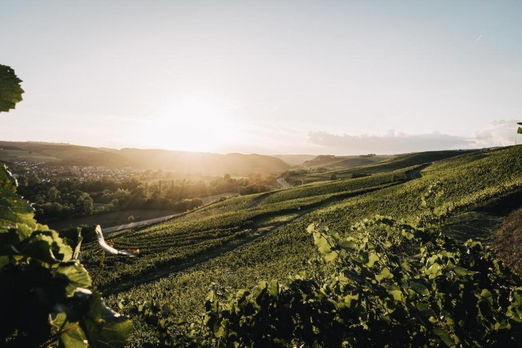 Weingut Und Gaestehaus Holger Alt Monzingen Zewnętrze zdjęcie