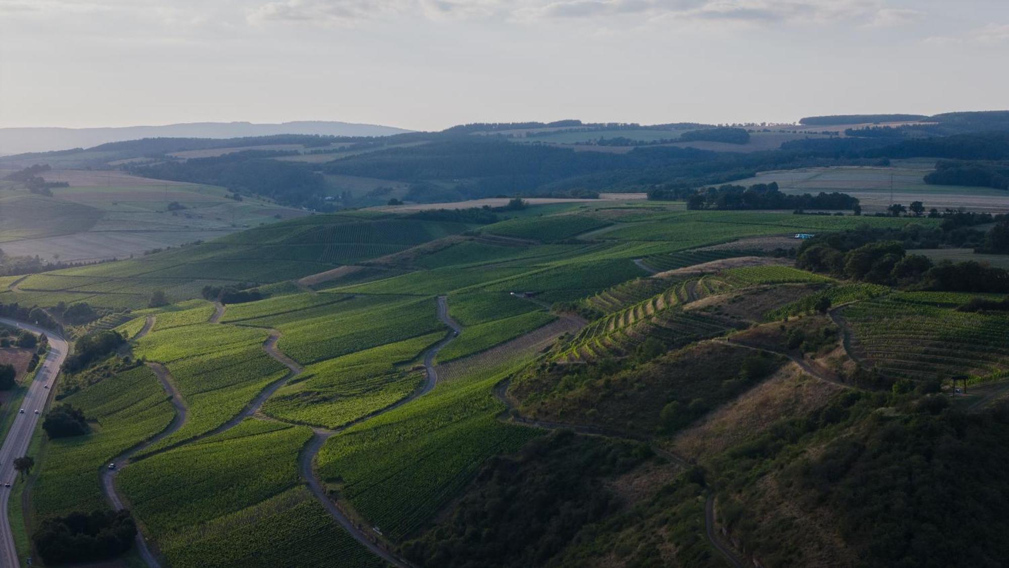 Weingut Und Gaestehaus Holger Alt Monzingen Zewnętrze zdjęcie