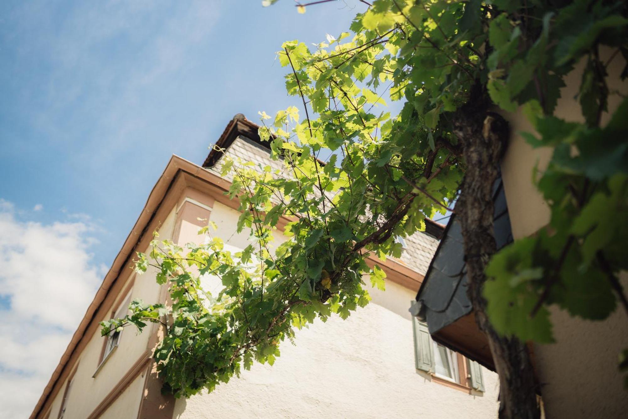 Weingut Und Gaestehaus Holger Alt Monzingen Zewnętrze zdjęcie